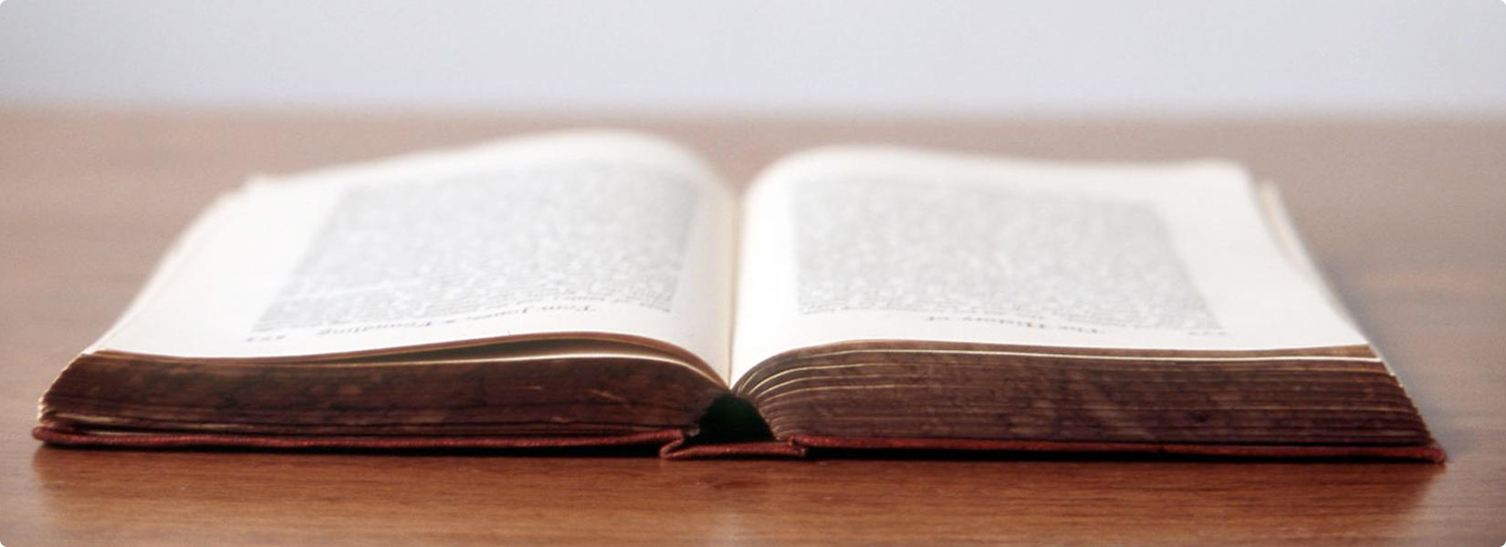 Sephra Terms & Conditions