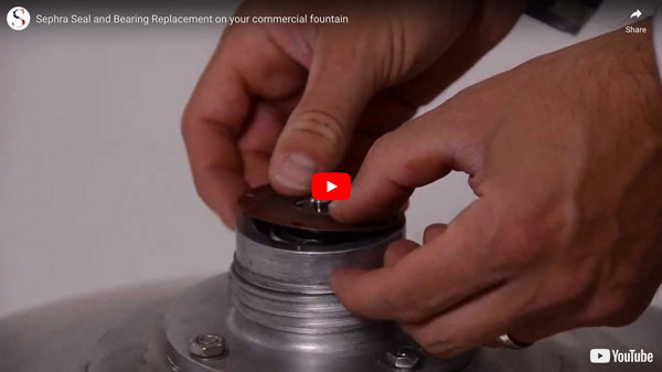 Seal & Bearing Replacement